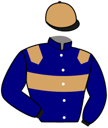 Casaque du n°10 — MALIGNO