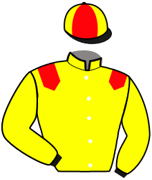 Casaque du n°2 — MAJOR DU MAINE