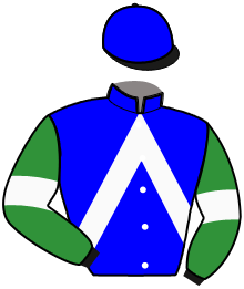 Casaque du n°5 — MANUELO BELLO