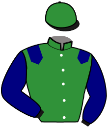 Casaque du n°11 — LORD DE JAFA