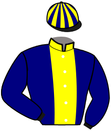 Casaque du n°14 — LE BEAU CIEL