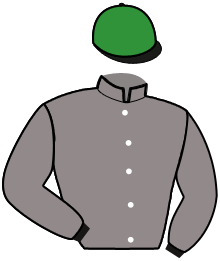 Casaque du n°5 — LEWIS PARK