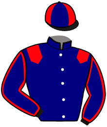 Casaque du n°1 — JALNA DES HAYES