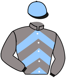 Casaque du n°5 — SILVER RUSH