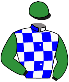 Casaque du n°6 — CIRCINUS