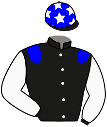 Casaque du n°10 — CASPIENNE
