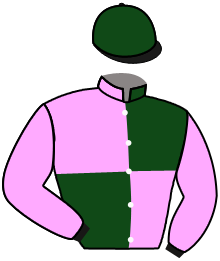 Casaque du n°2 — ALLEGRESSE