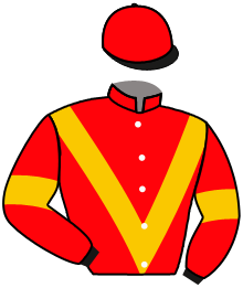 Casaque du n°5 — RITMICA