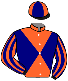 Casaque du n°15 — PALIMERO
