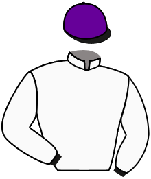 Casaque du n°2 — TANIS