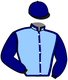 Casaque du n°5 — ANDARTIS