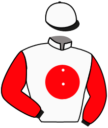 Casaque du n°6 — IRISHKAMAYA