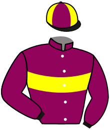 Casaque du n°10 — BID FOR CHESTER