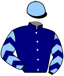 Casaque du n°3 — ROYALWOOD