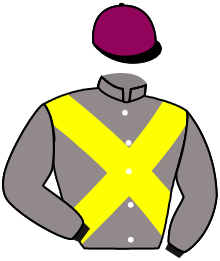 Casaque du n°5 — OZAN