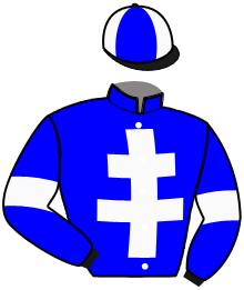 Casaque du n°10 — ILOS DU GOUTIER