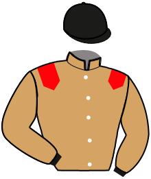 Casaque du n°11 — IRVING HEROLD