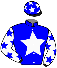Casaque du n°11 — NEW STAR WIND