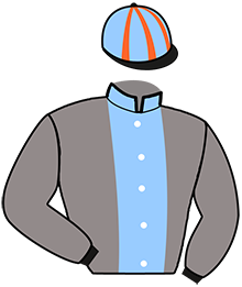 Casaque du n°4 — NYX DE VANDEL