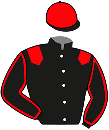 Casaque du n°1 — LEADER D'ANGELY