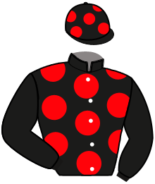 Casaque du n°11 — LAHANNA DESBOIS