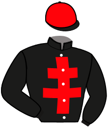 Casaque du n°5 — LUIGIA JIBELA