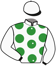 Casaque du n°8 — LUCKY DE POMMERAY