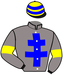 Casaque du n°6 — MIBORA BUISSONAY