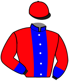 Casaque du n°10 — MURMURE