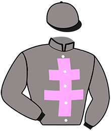 Casaque du n°11 — JAVANAIS