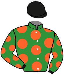 Casaque du n°16 — JURITI