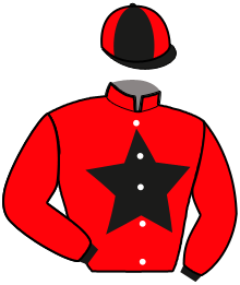 Casaque du n°3 — JAVA DE FOLIOT