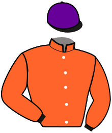 Casaque du n°5 — JACOBSON
