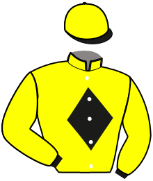 Casaque du n°11 — LICAR SOMOLLI