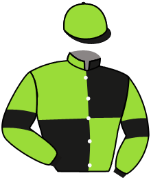 Casaque du n°2 — MOVENTO