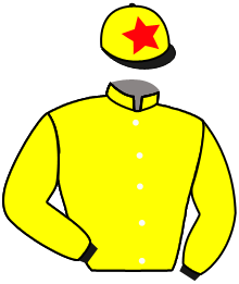 Casaque du n°5 — EL PICARO