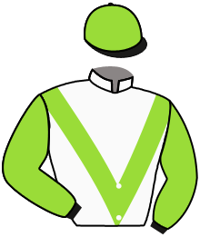 Casaque du n°1 — BAHIA BLANCA