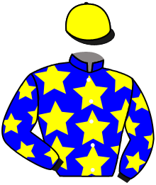 Casaque du n°6 — SARACEN STAR