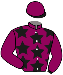 Casaque du n°1 — LUZERAISE