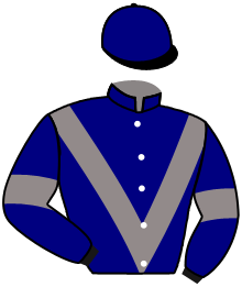 Casaque du n°1 — GENTEEL STAR