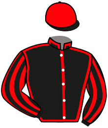 Casaque du n°2 — THE LIKELY LAD