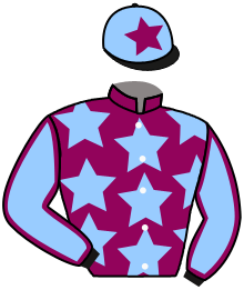 Casaque du n°3 — BATHYGAR DU GRENAT