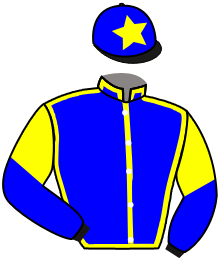 Casaque du n°6 — BAILEYS ROCK