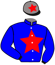 Casaque du n°1 — SONNAZ
