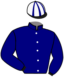 Casaque du n°9 — MADEIRA