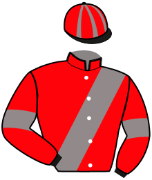 Casaque du n°7 — JULIUS DU THEIL