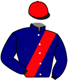 Casaque du n°10 — NOTRE SEVEN