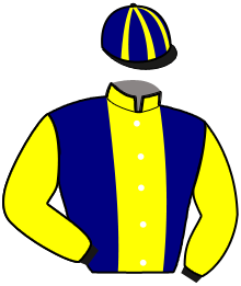 Casaque du n°11 — NEPTUNE MADRIK