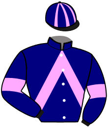 Casaque du n°12 — KURIELE LEBEL