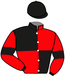 Casaque du n°6 — KALISTO DU BOURDON